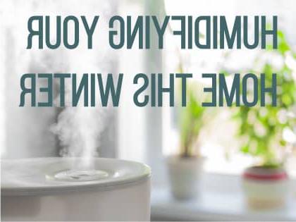 Humidifying-Your-Home-This-Winter_Blog-Teaser-min-(1).jpg